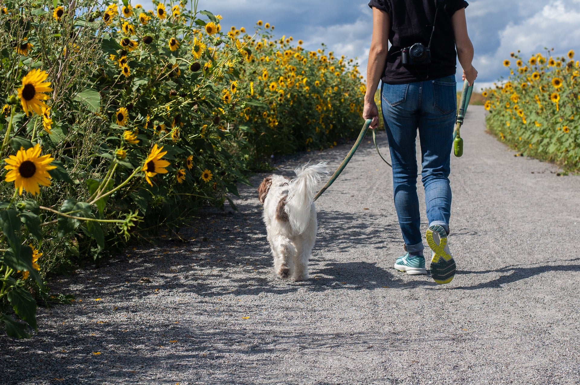 A woman on a walk with her dog to manage her stress levels