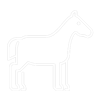 Horse - White Horse - White