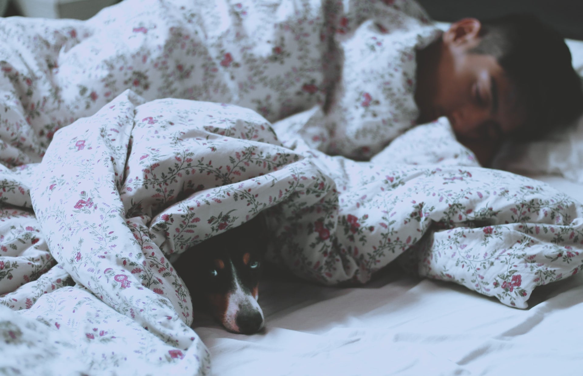 How-much-deep-sleep-do-you-need
