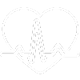 Health-Icon-RP-X-Product-Page