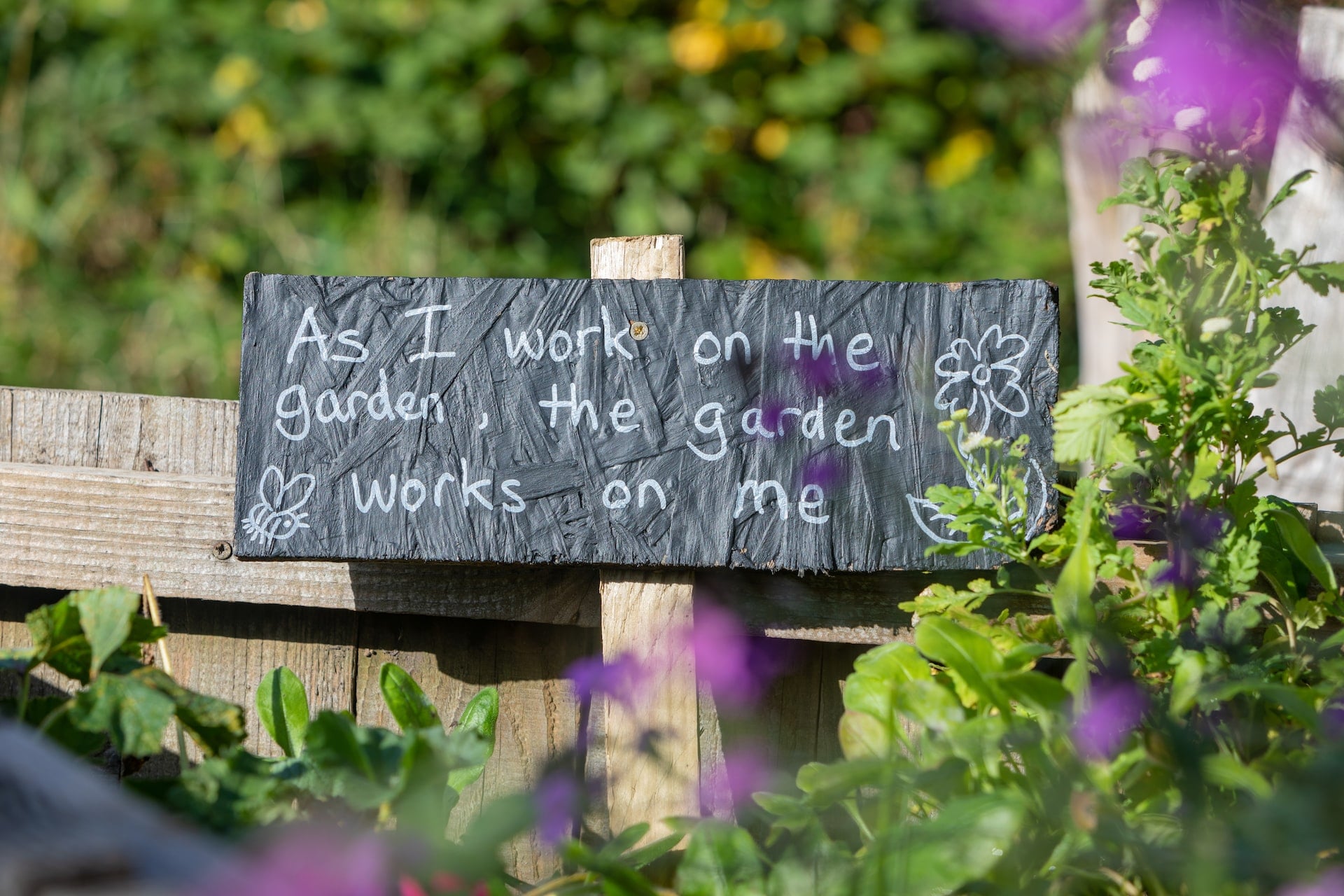 Photograph someone took of a chalk sign in a community garden