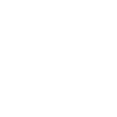 Lungs Lungs