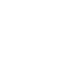 Lungs